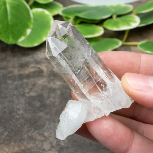 Colombian Lemurian Quartz #28
