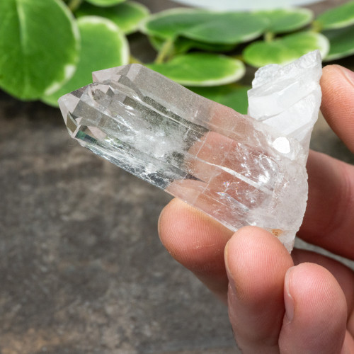 Colombian Lemurian Quartz #28