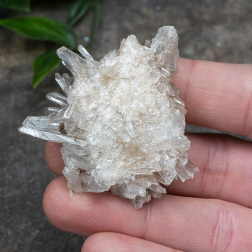 Colombian Quartz #25
