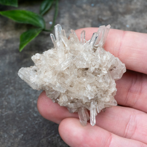 Colombian Quartz #25
