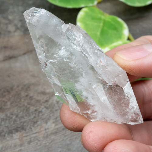 Colombian Faden Quartz #26