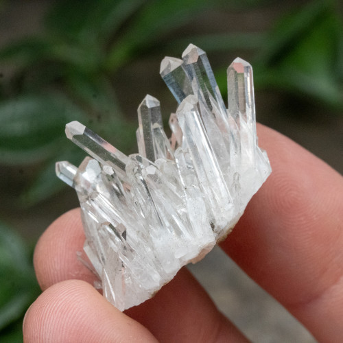 Colombian Quartz #20