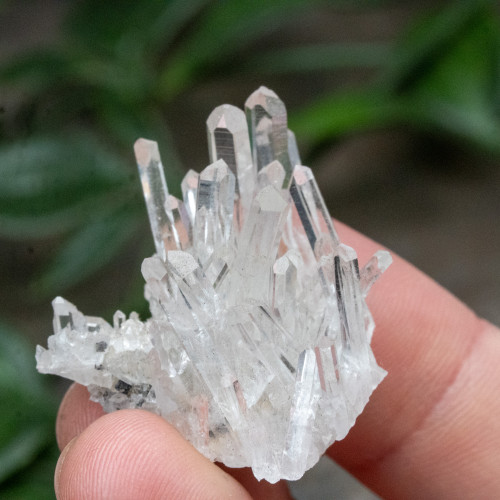 Colombian Quartz #20