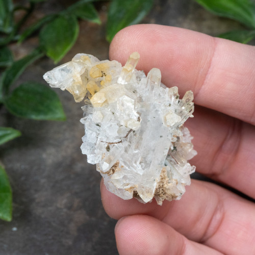Colombian Quartz #19