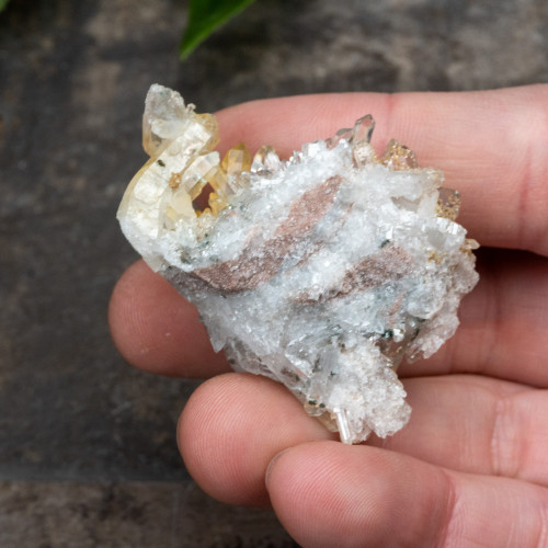 Colombian Quartz #19