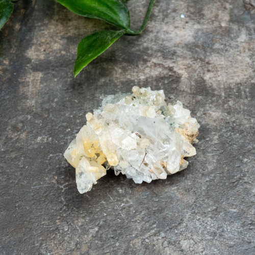 Colombian Quartz #19