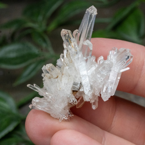 Colombian Quartz #16