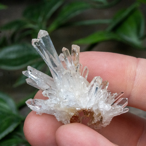 Colombian Quartz #16