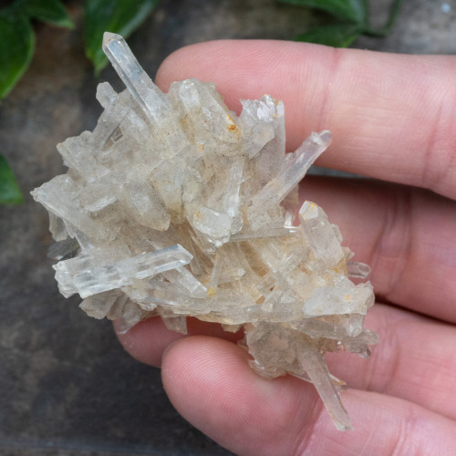 Colombian Quartz #14