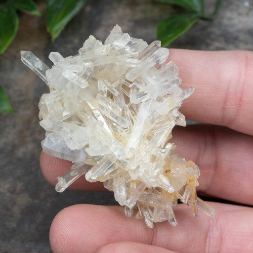 Colombian Quartz #14