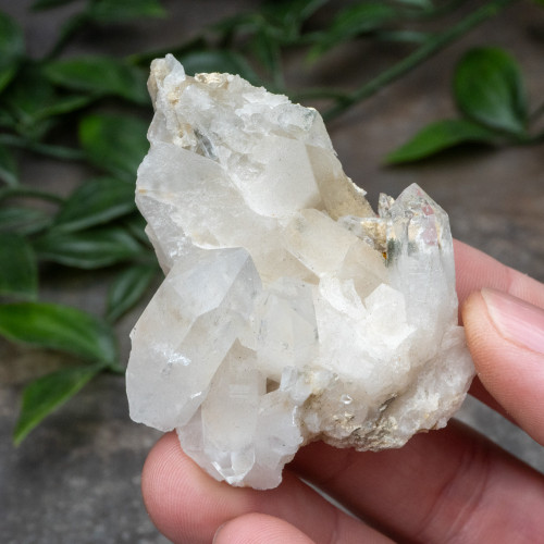 Colombian Quartz #13