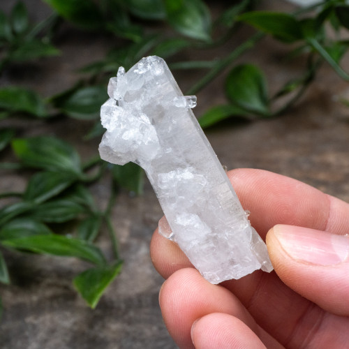 Colombian Quartz #11