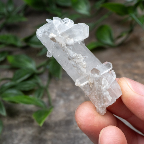 Colombian Quartz #11