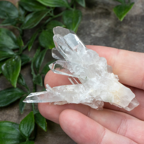 Colombian Quartz #8