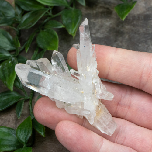 Colombian Quartz #8