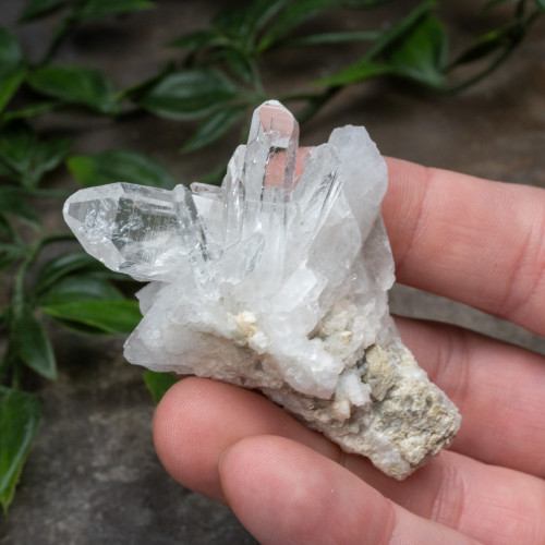 Colombian Quartz #1