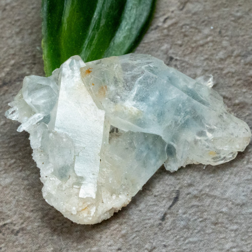 Blue Tara Quartz #4