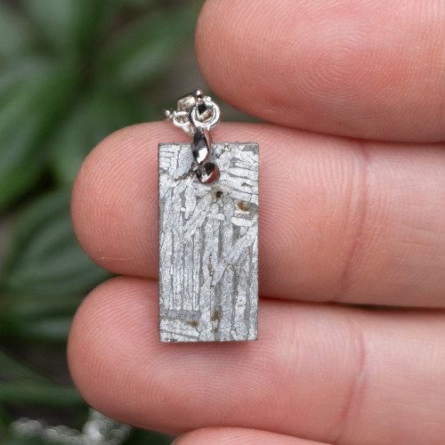Muonionalusta Meteorite Necklace #6