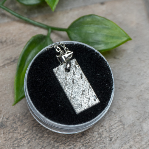 Muonionalusta Meteorite Necklace #5