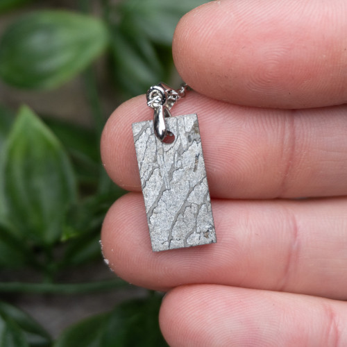 Muonionalusta Meteorite Necklace #5