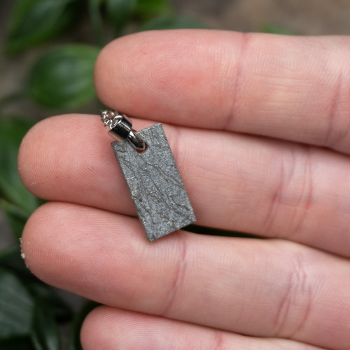Muonionalusta Meteorite Necklace #5