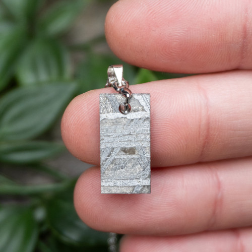 Muonionalusta Meteorite Necklace #4