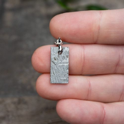 Muonionalusta Meteorite Necklace #2