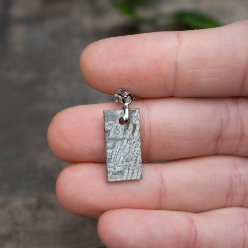 Muonionalusta Meteorite Necklace #2