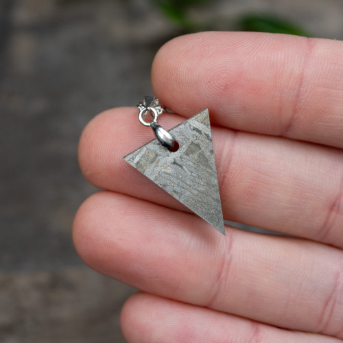Muonionalusta Meteorite Necklace #1