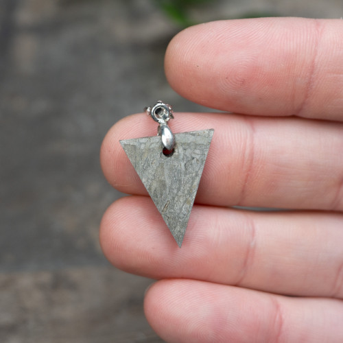 Muonionalusta Meteorite Necklace #1