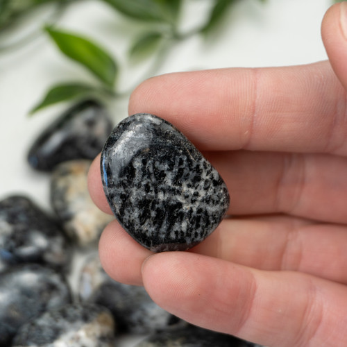 Orbicular Granite Tumbled