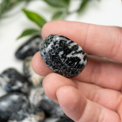 Orbicular Granite Tumbled