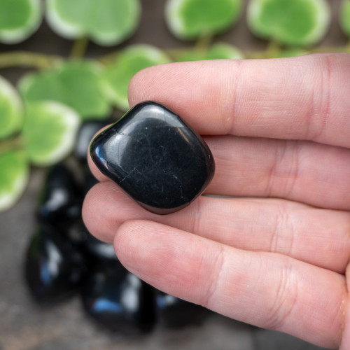 XL Shungite Tumbled