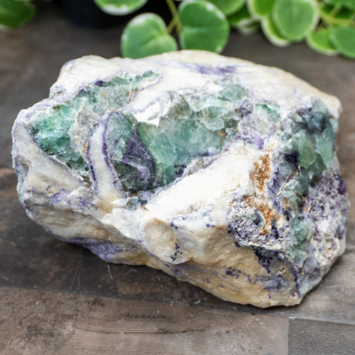 XL Green and Purple Fluorite #1