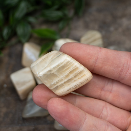 XL Moonstone Tumbled