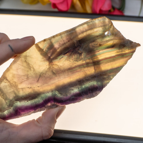 Rainbow Fluorite Slab #1