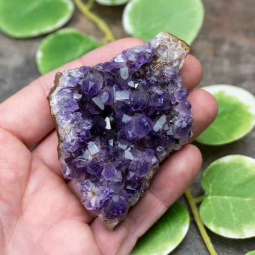 Uruguayan Amethyst #7