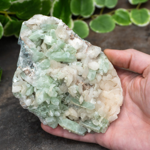 Green Apophyllite #2