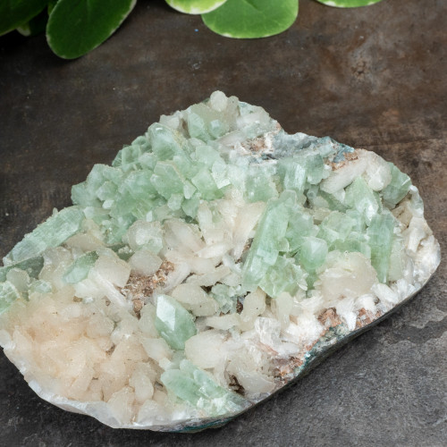 Green Apophyllite #2
