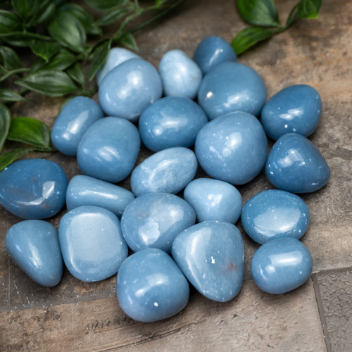 Angelite Tumbled