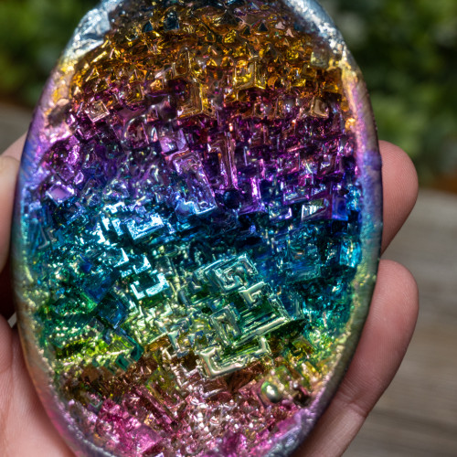 Rainbow Bismuth Shell