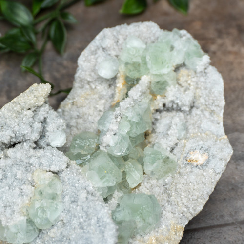 Green Fluortie with Quartz #8