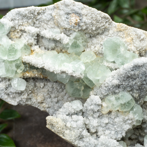 Green Fluortie with Quartz #8