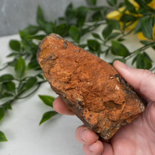 Outback Jasper Slab #2