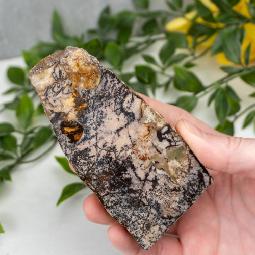 Outback Jasper Slab #2