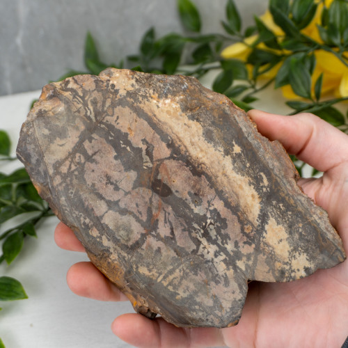 Outback Jasper Slab #1