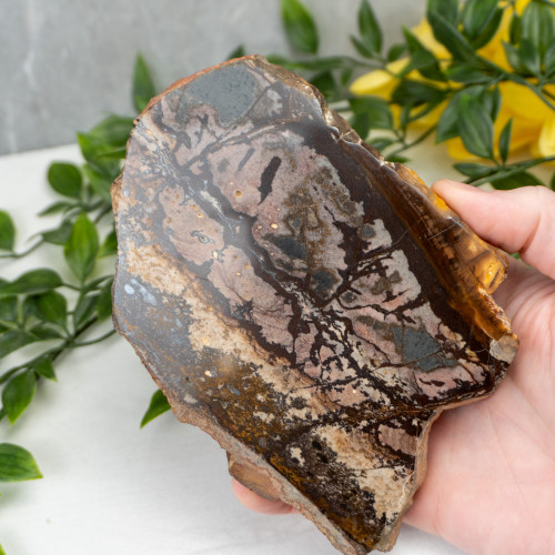 Outback Jasper Slab #1