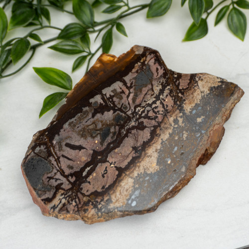 Outback Jasper Slab #1