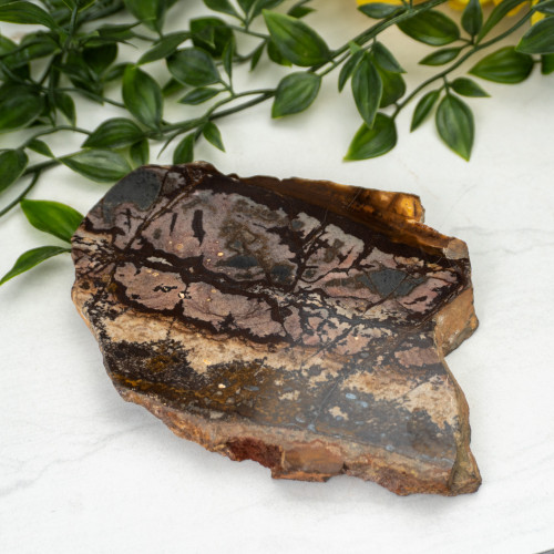 Outback Jasper Slab #1