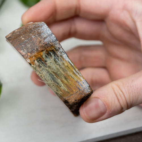 Mara Mumba Tiger Eye Slab #3